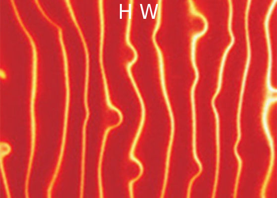 4-12MM Printed Laminated Glass Backsplash 300X300MM