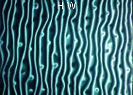 4-12MM Printed Laminated Glass Backsplash 300X300MM