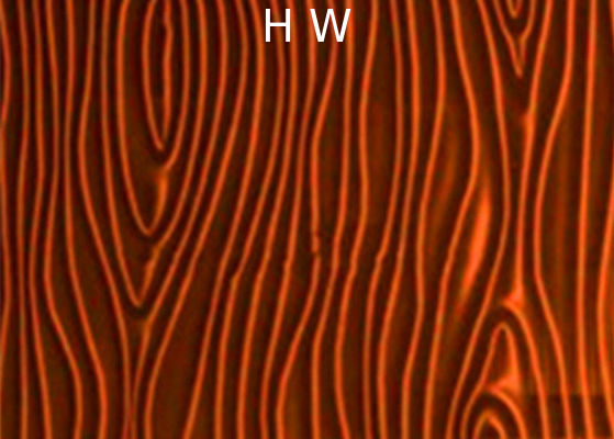 4-12MM Printed Laminated Glass Backsplash 300X300MM