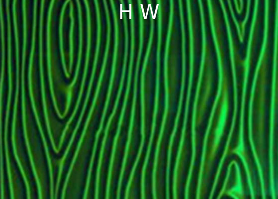 4-12MM Printed Laminated Glass Backsplash 300X300MM