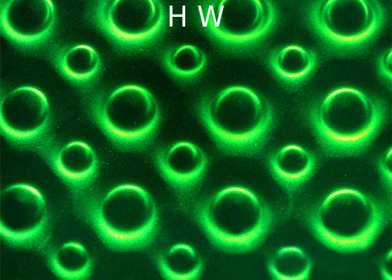 600x600mm Printed Laminated Glass , Decorative Laminated Glass Panels