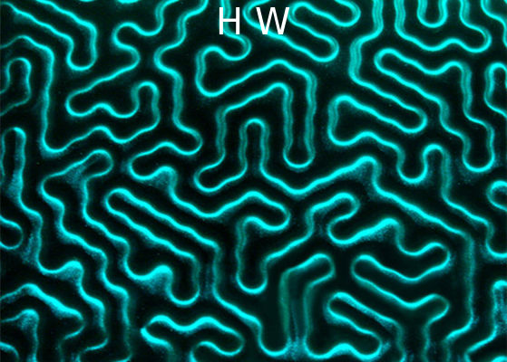 Liquiglass Printed Laminated Float Glass 300x300mm