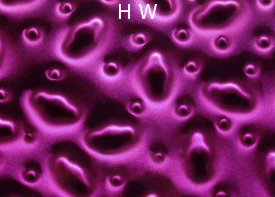 Color Printed Laminated Glass Cut To Size 300X600MM