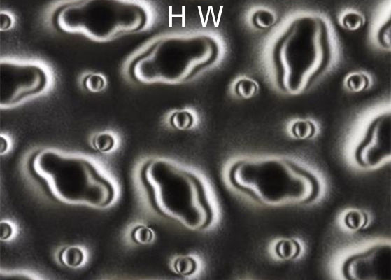 Color Printed Laminated Glass Cut To Size 300X600MM